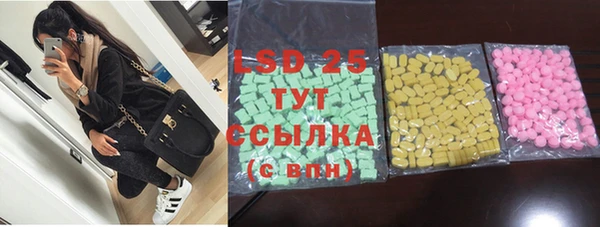 сатива Новокубанск