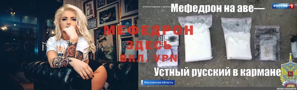 сатива Новокубанск