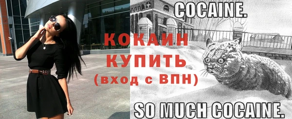 сатива Новокубанск