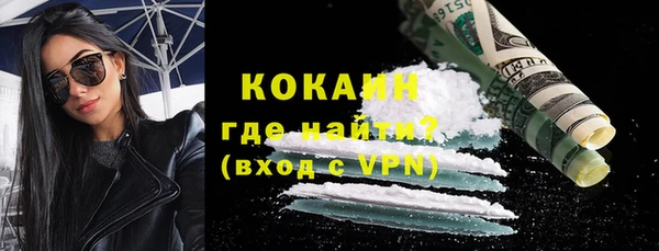 сатива Новокубанск