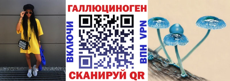 Галлюциногенные грибы Psilocybine cubensis  сколько стоит  Щёлково 